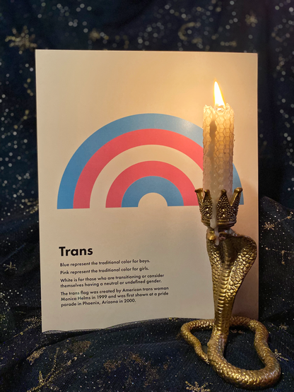 Trans Pride Box